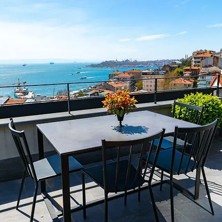 Ando Living Taksim House